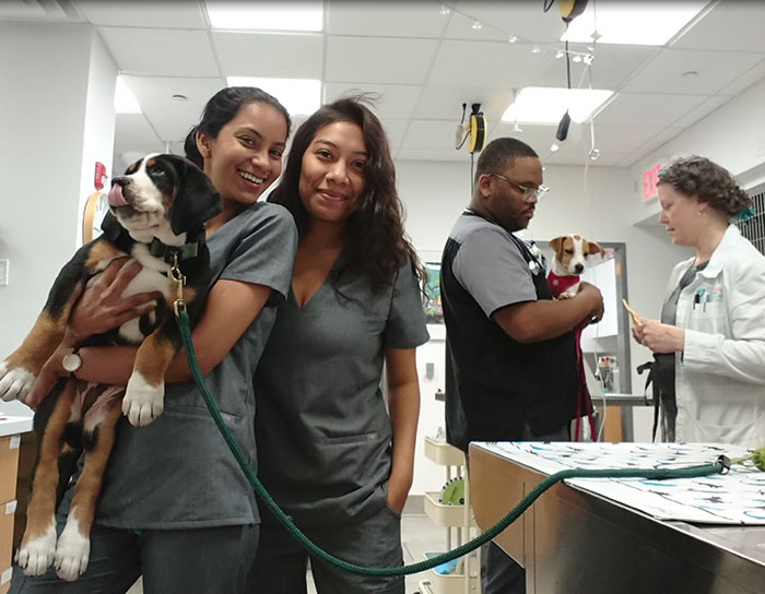 Veterinary Services in Tribeca NY
