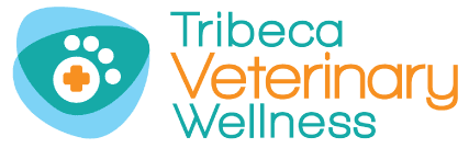 veterinarian-tribeca-new-york